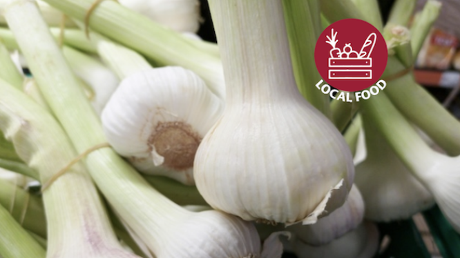 Bunches of garlic